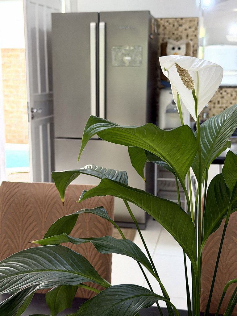 Casão no Campeche Com Piscina e Perto da Praia