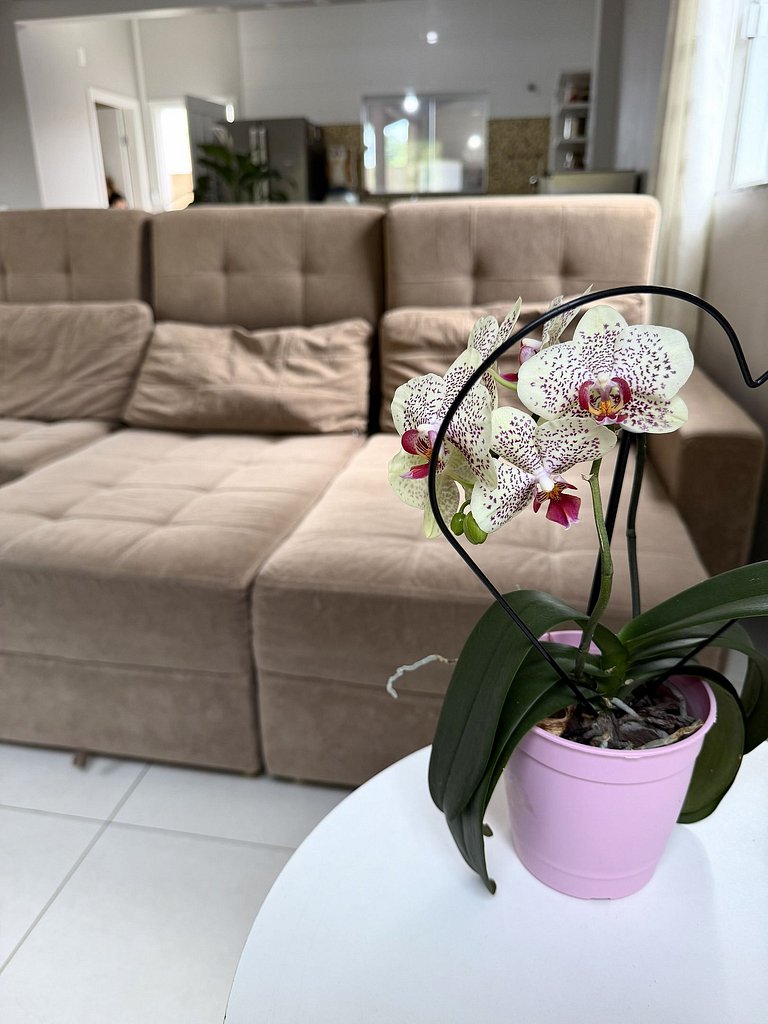 Casão no Campeche Com Piscina e Perto da Praia