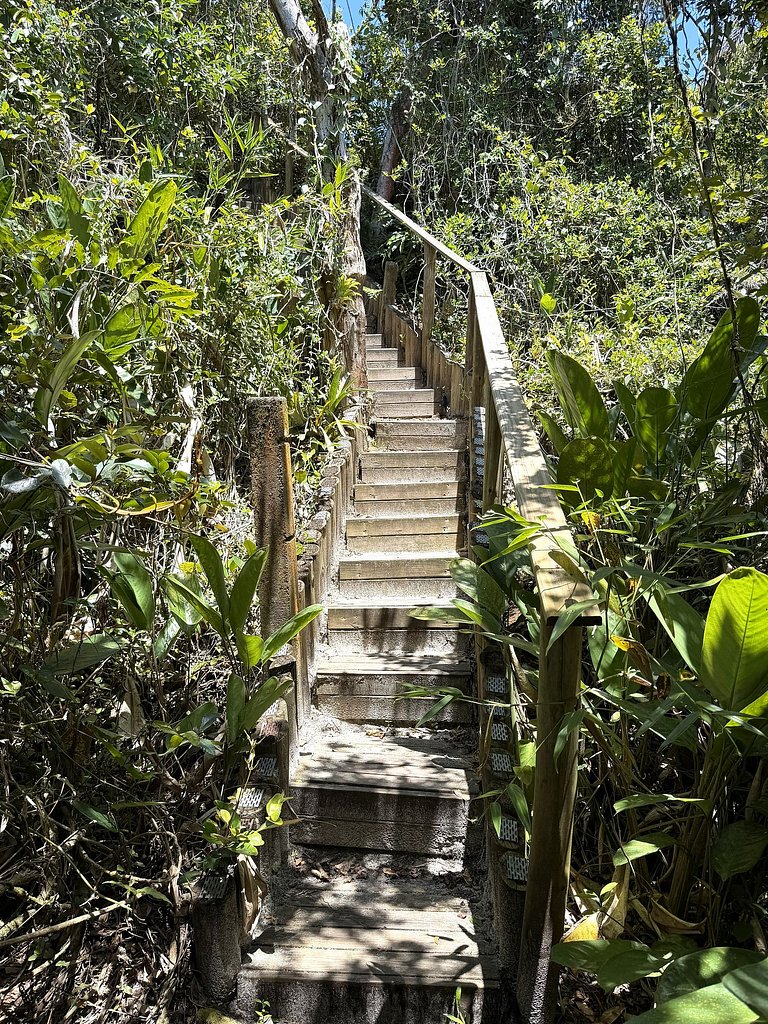 Pé na Areia: acesso privativo à praia | Wi-Fi
