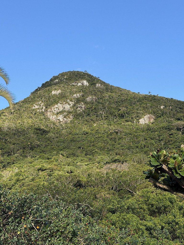 Estúdio em meio à natureza na praia da Armação #01
