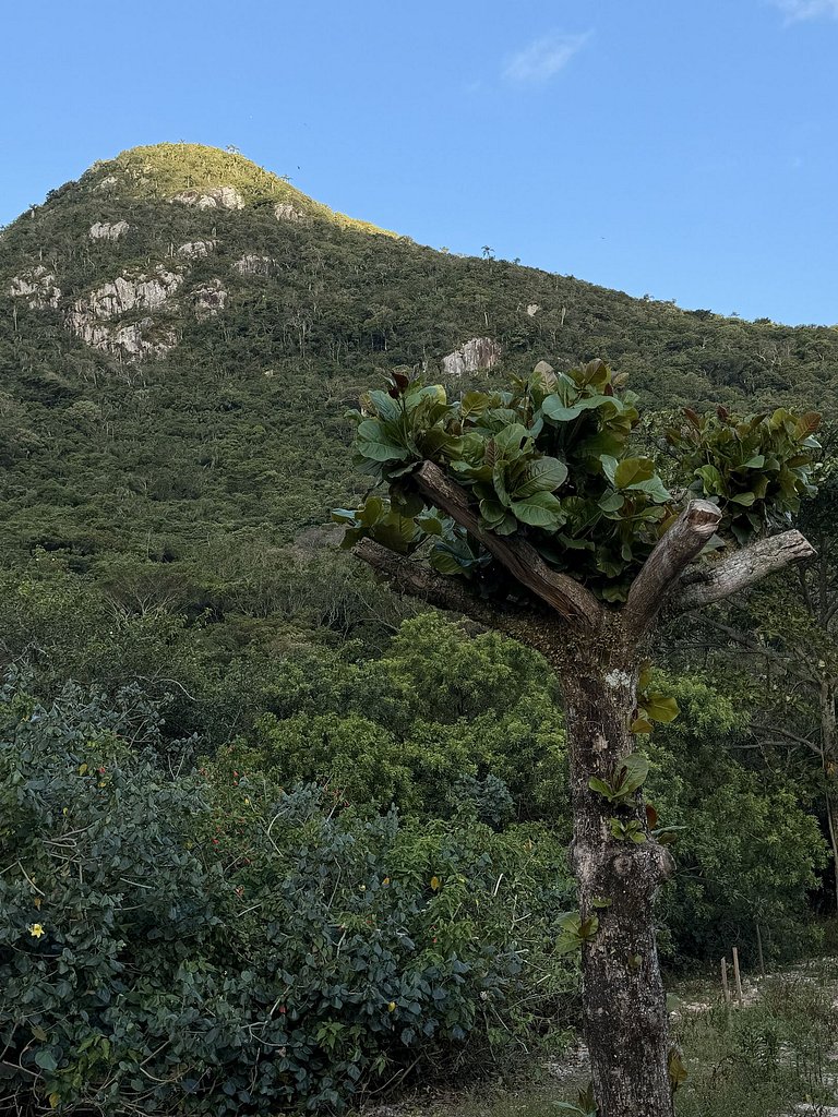 Stúdio #05 em meio a Natureza e Paz