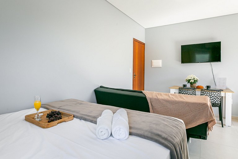 Complete Studio | Pet Friendly | In Campeche #205